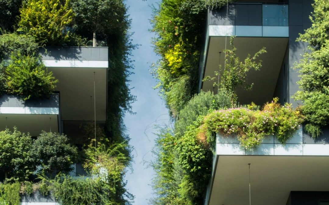 Nachhaltiges Wohnen in Griechenland: Die Zukunft von Öko-Häusern und grünem Design